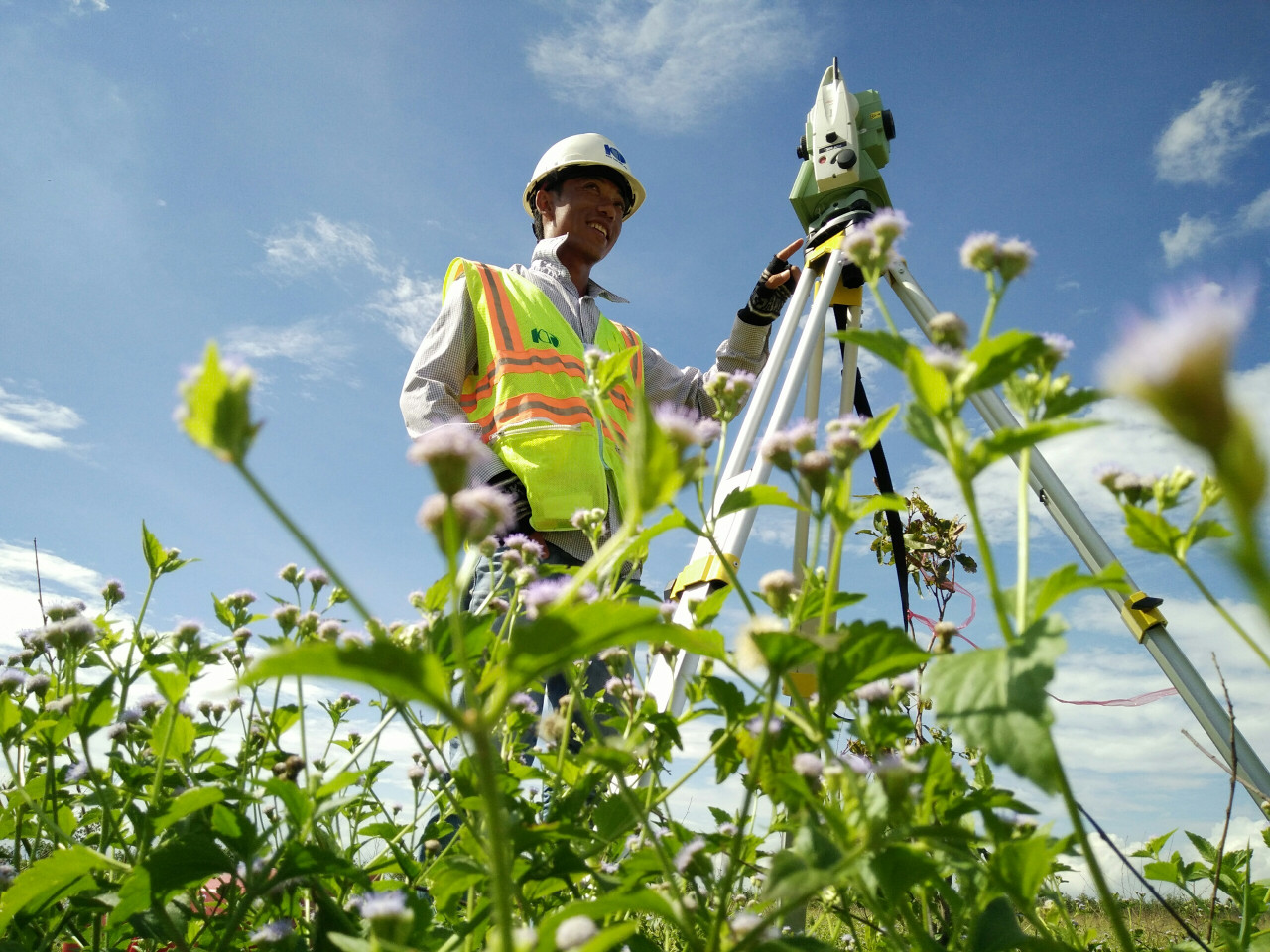 Model Surveying